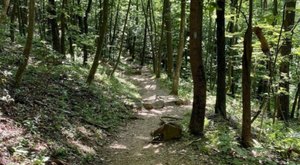 The 5-Mile Jones Run Falls Trail Might Just Be The Most Enchanting Hike In Virginia