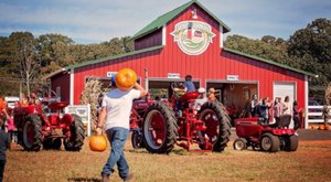 The 6 Best Fall Festivals In South Carolina For 2023 Will Put You In The Autumnal Spirit