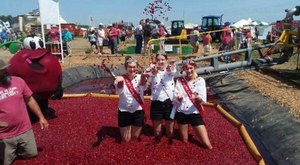 The 5 Best Fall Festivals In Wisconsin For 2023 Will Put You In The Autumnal Spirit