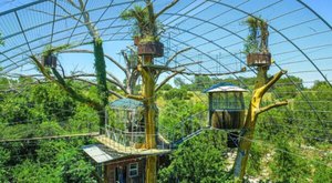 There’s No Better Place To Go Glamping Than This Magnificent Treehouse Village In Texas