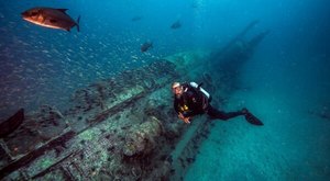 The Incredible Ocean Experience In North Carolina Where You’ll See Sharks, Shipwrecks, And More