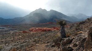 We Bet You Didn’t Know There Was A Miniature Red Rock Park In Nevada