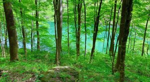 The Rugged And Remote Hiking Trail In North Carolina That Is Well-Worth The Effort