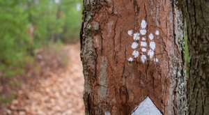 A Recreation Trail Runs Through This Kentucky Town And It’s The Ultimate Outdoor Playground