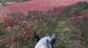 Sheyenne National Grasslands In North Dakota Is So Little-Known, You Just Might Have It All To Yourself