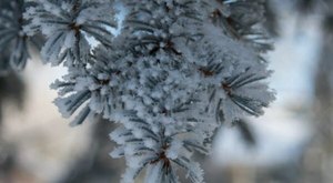 You Might Be Surprised To Hear The Predictions About South Dakota’s Damp and Cold Upcoming Winter