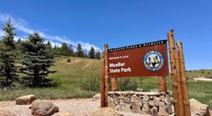 Pan For Gold, Ride A Pony, And Take A Hayride During This Family-Friendly Festival At Mueller State Park In Colorado