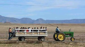 The Small-Town Harvest Festival In Arizona Belongs On Your Autumn Bucket List