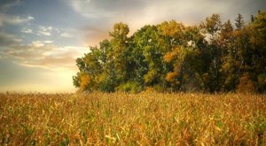 Here Are The Best Times And Places To View North Dakota’s Fall Foliage In 2023