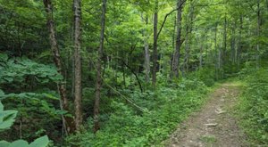Enjoy An Unexpectedly Magical Hike On This Little-Known Park Trail In Kentucky