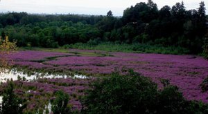 8 Incredible Hikes Under 5 Miles Everyone Around Portland Should Take