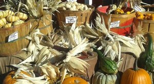 The Largest Pumpkin Patch In South Dakota Is A Must-Visit Day Trip This Fall