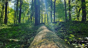 A Peaceful Escape Can Be Found Along The Lawrence Creek Trail In Indiana