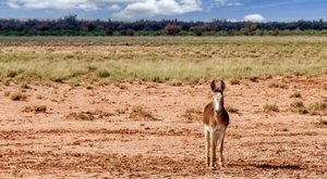 The Most Remote State Park In Arizona Is The Perfect Place To Escape