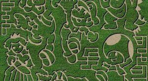 Get Lost In This Awesome 16-Acre Corn Maze In Indiana This Autumn