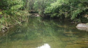 These Secret Swimming Holes Hidden In The Hawaiian Forest Are Sure To Dazzle You