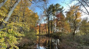 The Easy Trail That Might As Well Be The Nature Capital Of Massachusetts