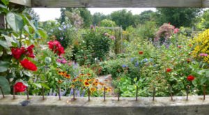 The Secret Garden Hike In Boston Will Make You Feel Like You’re In A Fairytale