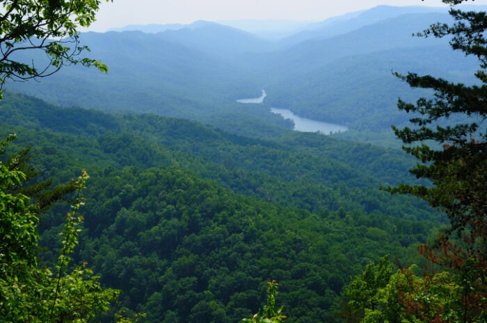 Nature