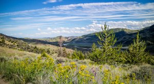 This Montana Hiking Trail Is One Of The Best Places To View Summer Wildflowers