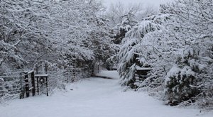 You Might Be Surprised To Hear The Predictions About Oklahoma’s Snowy And Wet Upcoming Winter