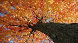 The Small Town In Wisconsin That Comes Alive In The Fall Season