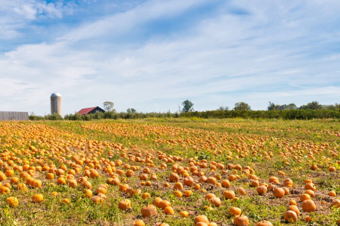 Seasonal
