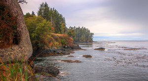 The Small Town In Washington That Comes Alive In The Fall Season