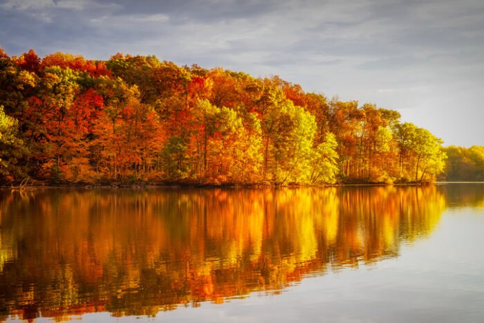 Seasonal