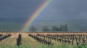 You Might Be Surprised To Hear The Predictions About Northern California’s Damp And Cold Upcoming Winter