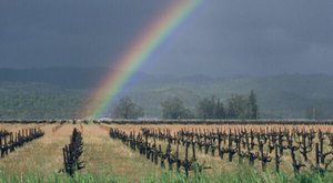 You Might Be Surprised To Hear The Predictions About Northern California’s Damp And Cold Upcoming Winter