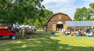 The Small-Town Harvest Festival In North Carolina Belongs On Your Autumn Bucket List