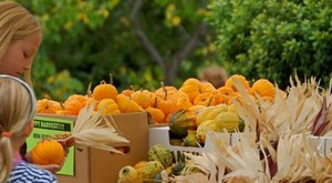 The Small-Town Harvest Festival In Northern California Belongs On Your Autumn Bucket List