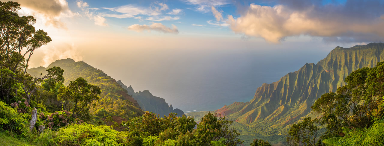 Hawaiibanner image