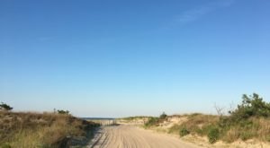 The Beautiful Beach Hike In Delaware That Will Engage All Of Your Senses