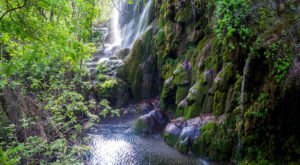 There’s An Emerald Waterfall Hiding Near Austin That’s Too Beautiful For Words