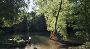 8 Easy And Beautiful Spring Hikes Everyone In Austin Will Love
