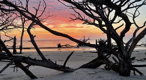 You Can Watch Baby Sea Turtles Hatch On This Incredible Getaway To Jekyll Island In Georgia