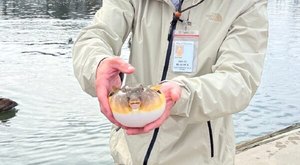 The Incredible Creek Experience In South Carolina Where You Can Hold A Pufferfish, Cast A Shrimp Net, And More