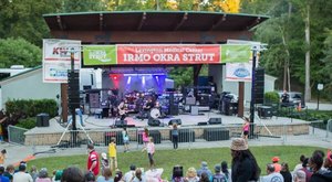 The 49th Annual Irmo Okra Strut In South Carolina Celebrates All Things Okra
