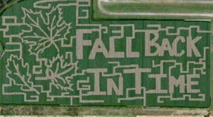 The Largest Pumpkin Patch In Michigan Is A Must-Visit Day Trip This Fall