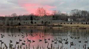 This Hidden Spot Near DC Is Unbelievably Beautiful And You’ll Want To Find It