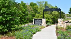 9 Picnic Perfect Austin Hikes That Will Make Your Spring Complete
