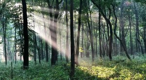 The 3-Mile Edward L. Ryerson Conservation Area Trail Might Just Be The Most Enchanting Hike In Illinois