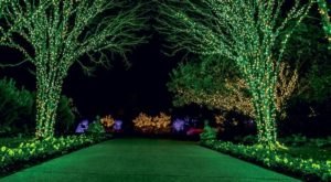 The Garden Christmas Light Display At Cheekwood Estate & Gardens In Nashville Is Pure Holiday Magic