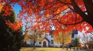 Why This Often Overlooked Attraction Is Actually One Of DC’s Best