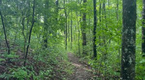 The Georgia Wilderness Area Worth Driving Across The State To Explore