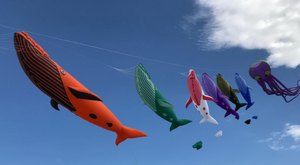 Fly High And Have A Ball At The Great American Kite Festival In Kansas