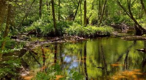 The Hidden Banningwood Red Loop In Connecticut Meanders Peacefully Through The Woods