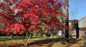 This Home In Connecticut Surrounded By Fall Foliage Is The Best Place For An Autumnal Getaway